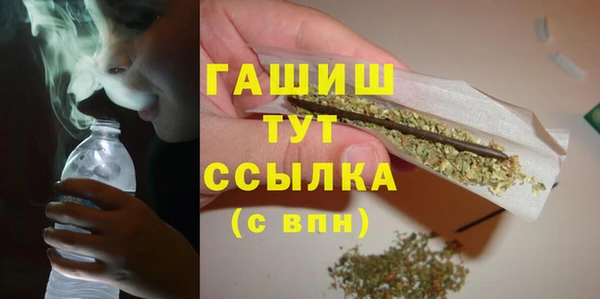 мет Алексин