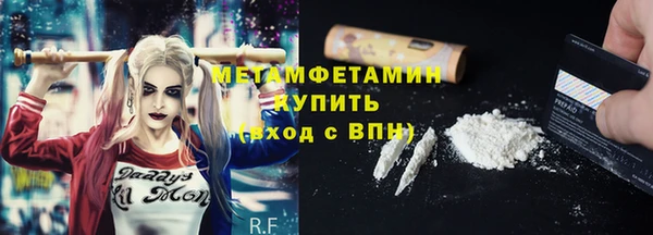 мет Алексин